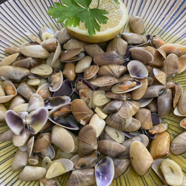 cocquinas
